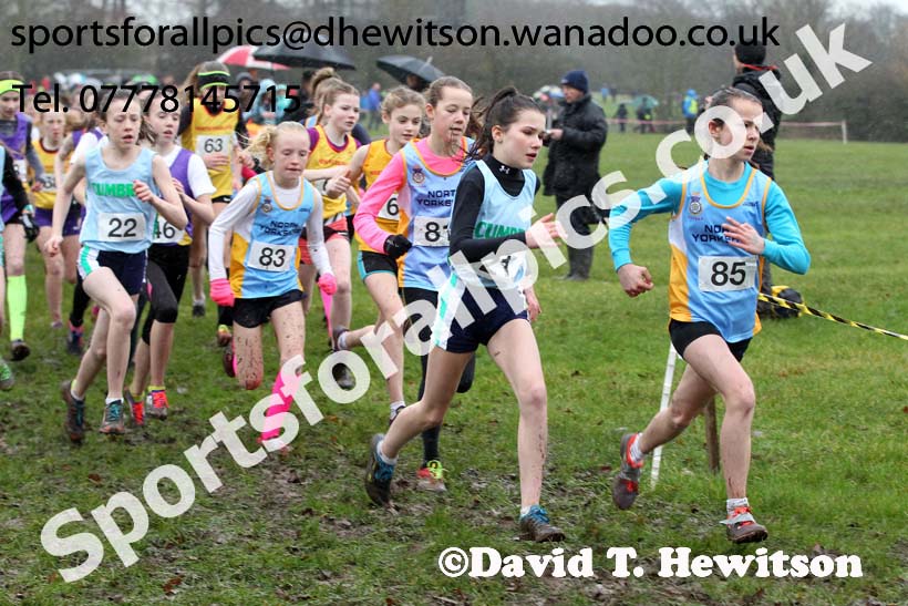 Minor girls Northern Inter Counties Schools Cross Country, Stockton. Photo: David T. Hewitson/Sports for All Pics